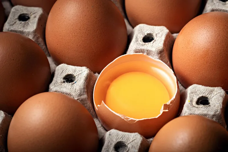 Those Expiration Dates on Your Eggs Are Store Inventory Labels — Not Safety Warnings