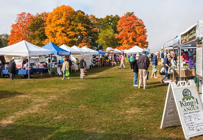 The Farmers Market Isn't Lying to You — But It Isn't Telling You Everything Either