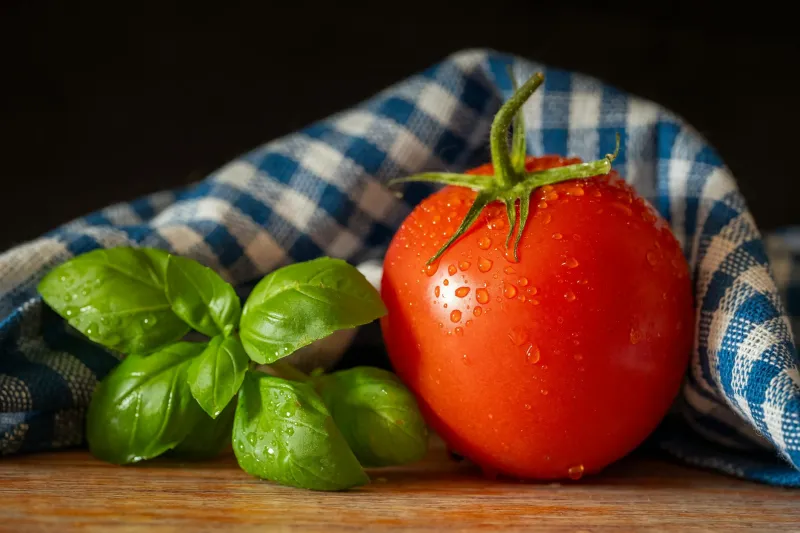 The Five-Second Rule Isn't a Myth — But the Real Version Is Weirder Than You Think