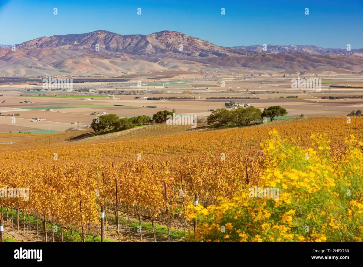 Salinas Valley